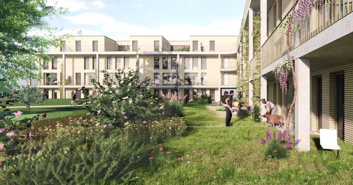 Eerste CLT-project in Vlaanderen schiet uit de startblokken
