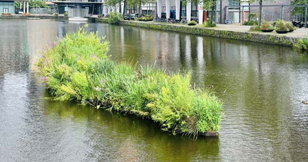 Lot De 3 Îlots Flottants Pour Abeilles En Forme De Fleur - Station D'Abreuvement Pollinisateurs 22cm